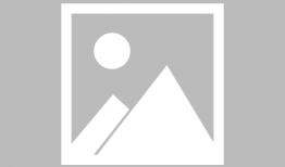 91美女视频,揭秘网络红人的魅力与争议